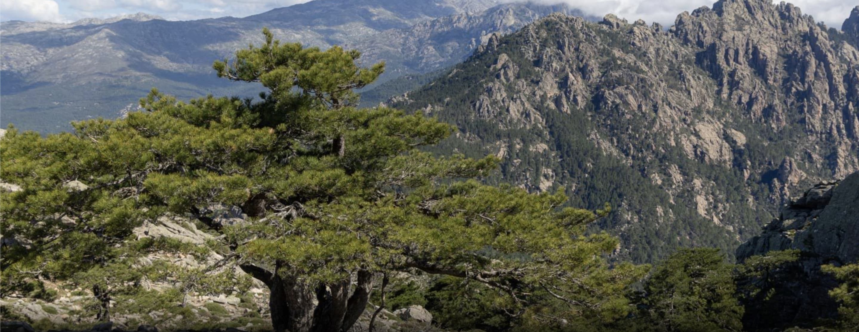 Bergeries de Luviu et Monte Calva depuis le col d'Illarata