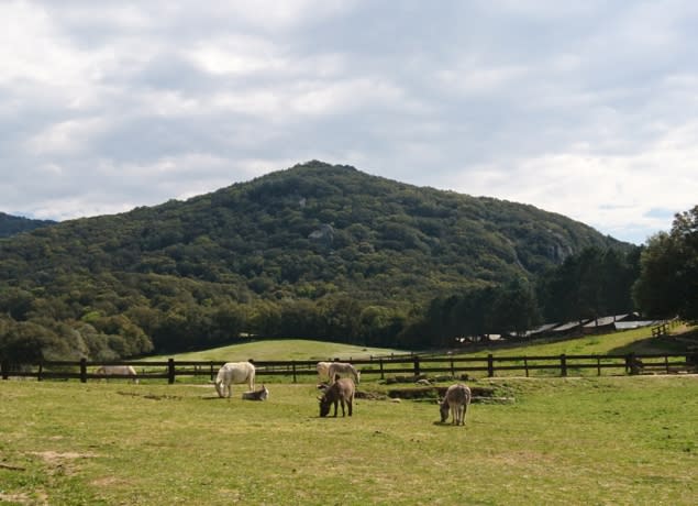 Parc Naturel d'Olva - Ferme pédagogique