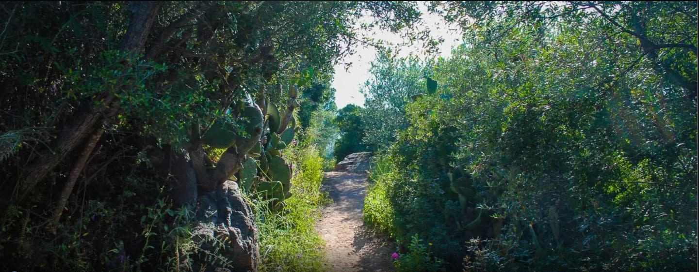 Petite boucle du Bois des Anglais