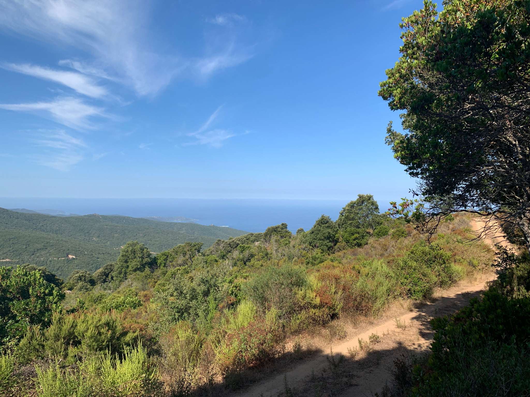 Le Plat du moulin ou chemin de Fica