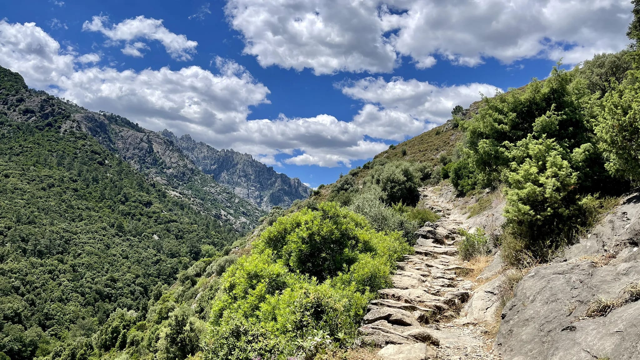 Le sentier patrimonial d'Erbajolo