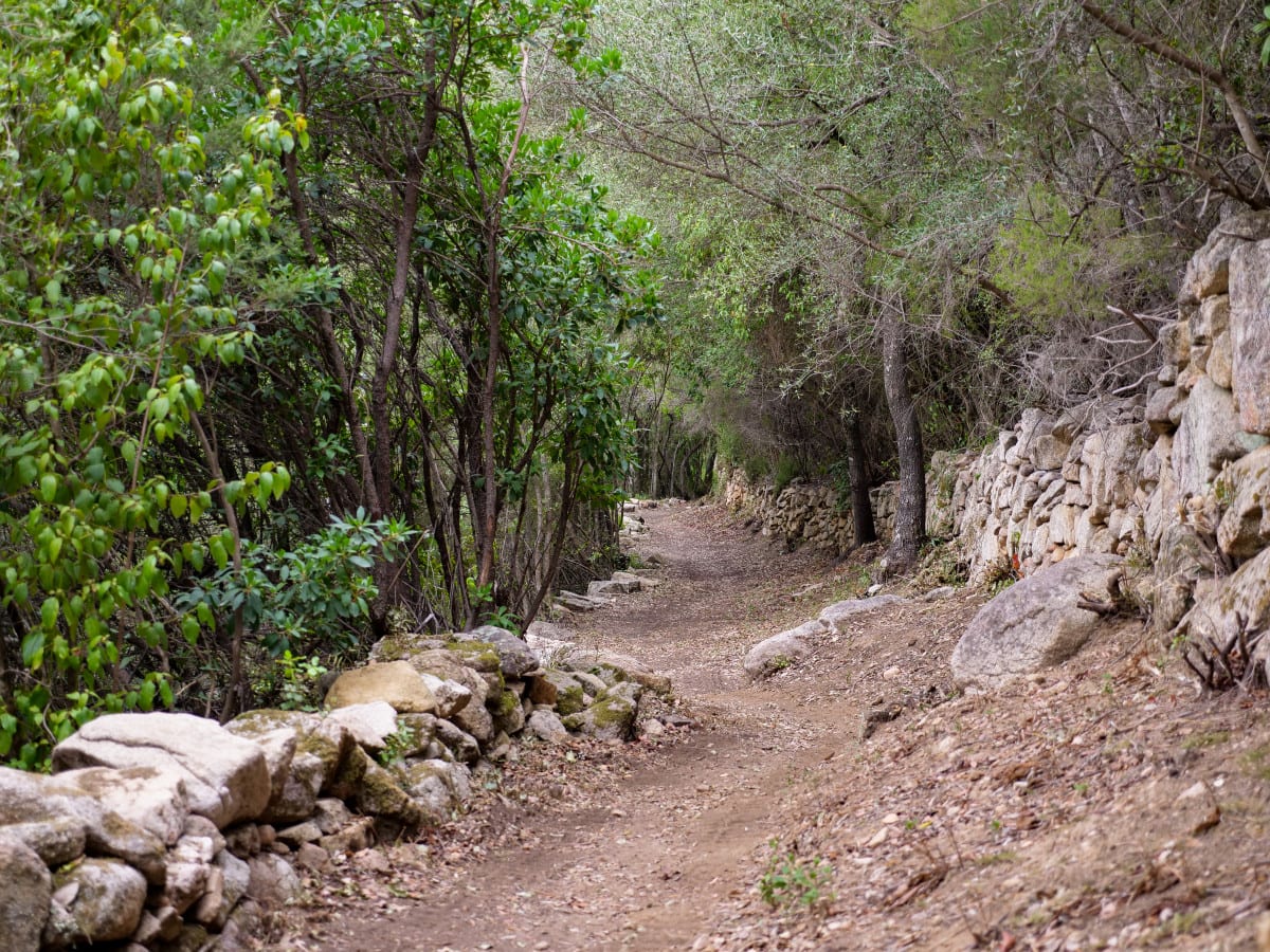 Le Chemin des Charbonniers, variante par les crĂȘtes, au dĂ©part de Poggiale
