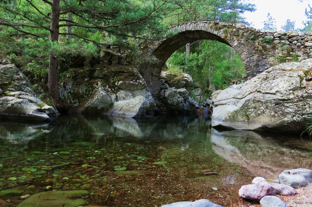 En forĂȘt d'Olmi-Cappella et MausolĂ©o, ponts gĂ©nois et ruines de moulins