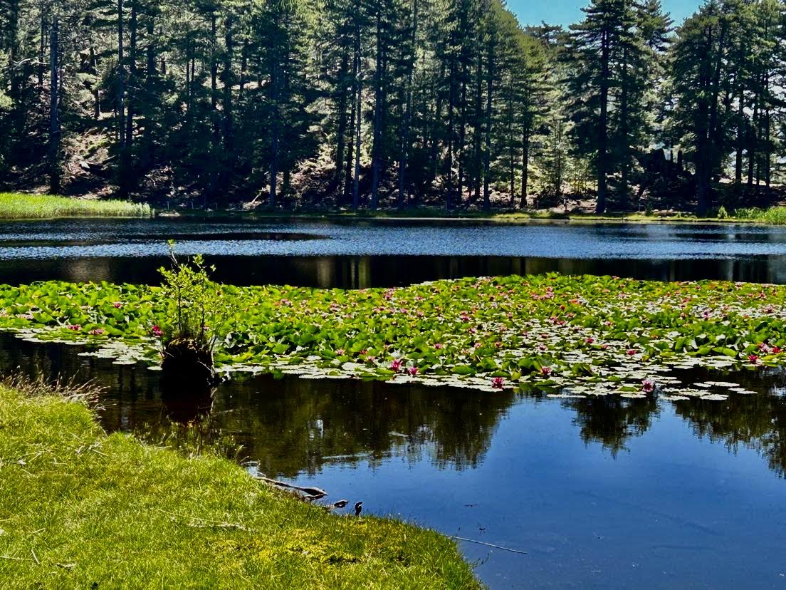 Soccia au lac Creno
