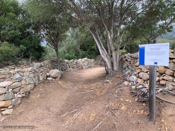Sentier du patrimoine : Les Orii Ă Monaccia-d'AullĂšne