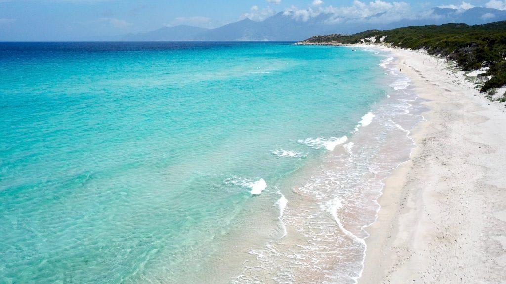 Saleccia
