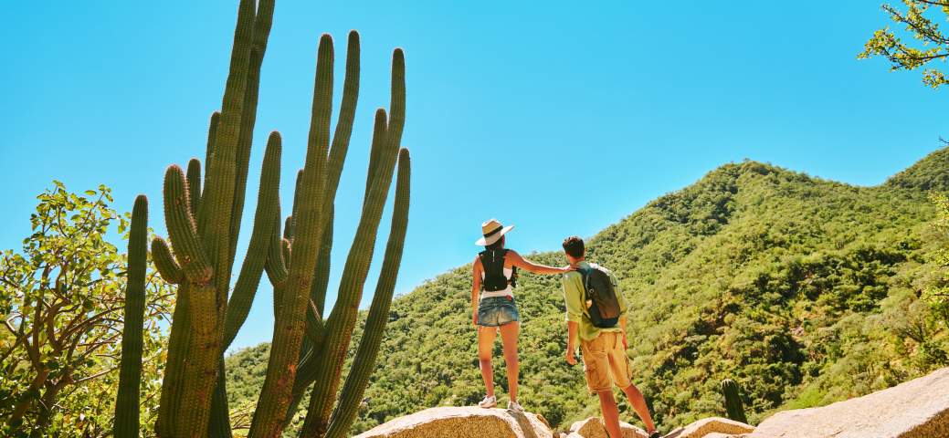 Sierra De La Laguna 1 Ad 568F 484A 9Ade 0Dcd555B1B8C — Los Cabos Property Investment Guide buyer context
