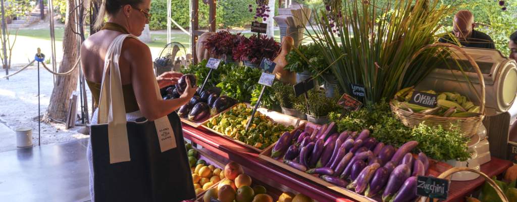 Flora's Farm estate dining, ultra-prime Cabo corridor