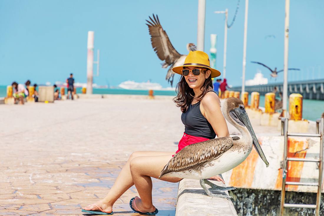 Puerto Progreso — Mexico Real Estate Glossary market context