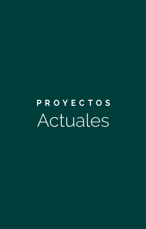 DINE Desarrollos project portfolio Nayarit