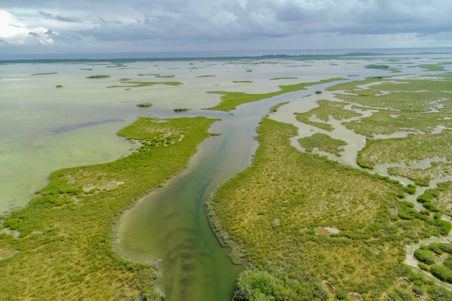 Progreso Yucatan coast Tren Maya access