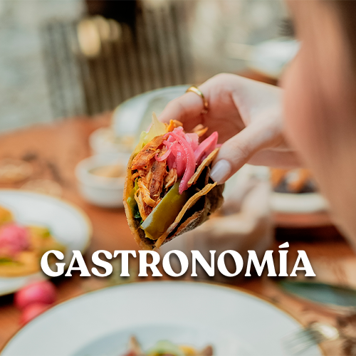 Gastronomia — Fake Escritura Mexico