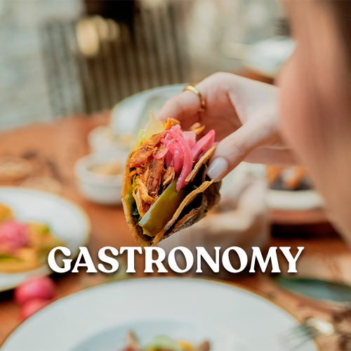 Gastronomia — Vat Mexico Property Rental