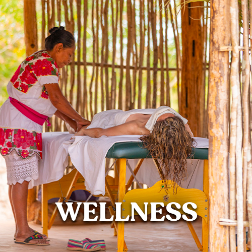 Wellness — Remote Notarization Mexico