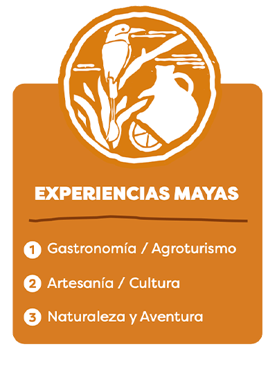 Experiencias mayas — Repatriate Sale Proceeds Mexico