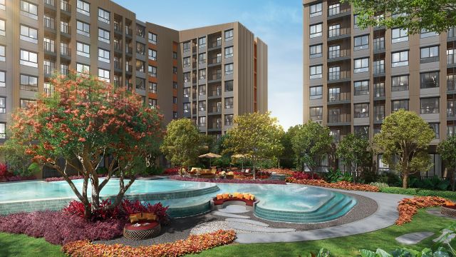 Dcondo Cove Phuket 2026: Condo from 2.43M in Kathu