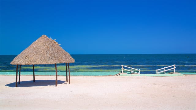 Holistika Tulum Review: Wellness Residences From $225K 2026