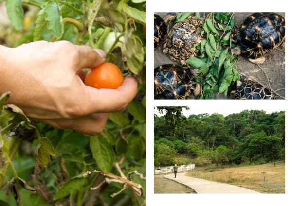 Agritourism Experience