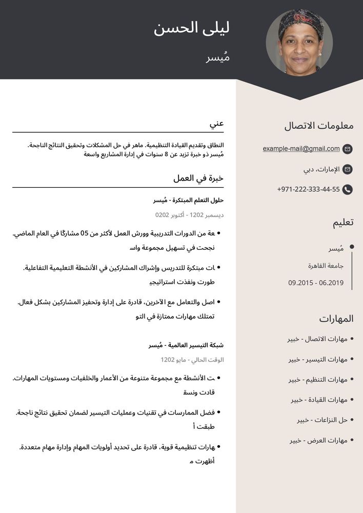 قالب سيرة ذاتية ملون يحتوي على رسوم بيانية للمصممين والمسوقين