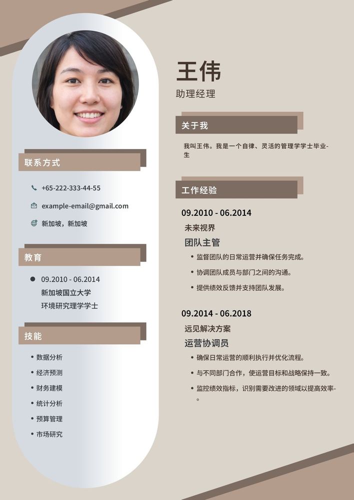 专为开发人员设计的简洁简历模板,突出技能