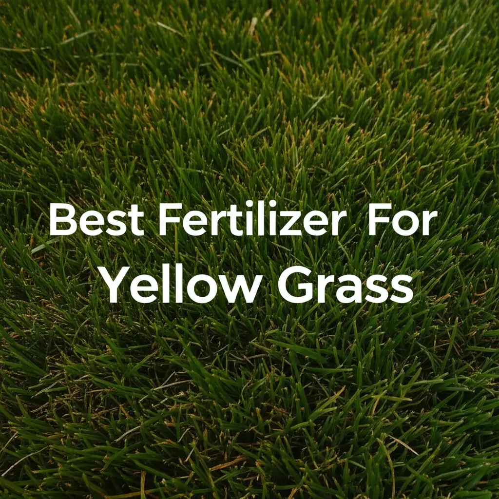 8 Best Fertilizer For Yellow Grass 2026 Top Expert Picks
