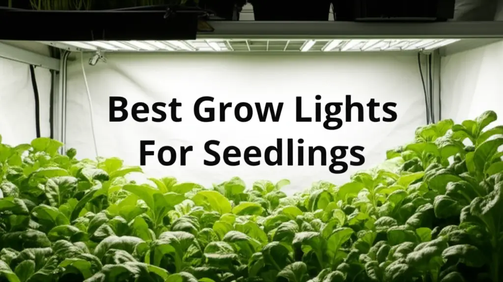 10 Best Grow Lights For Seedlings in 2026 Reviewed