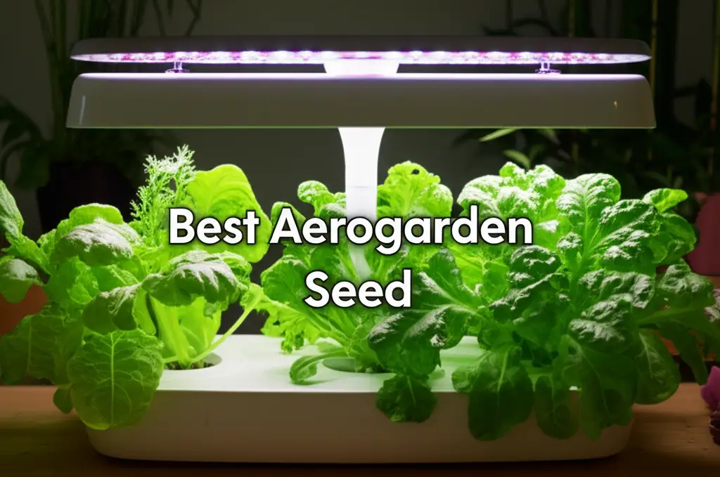 9 Best Aerogarden Seed Kits for Your Indoor Harvest 2026