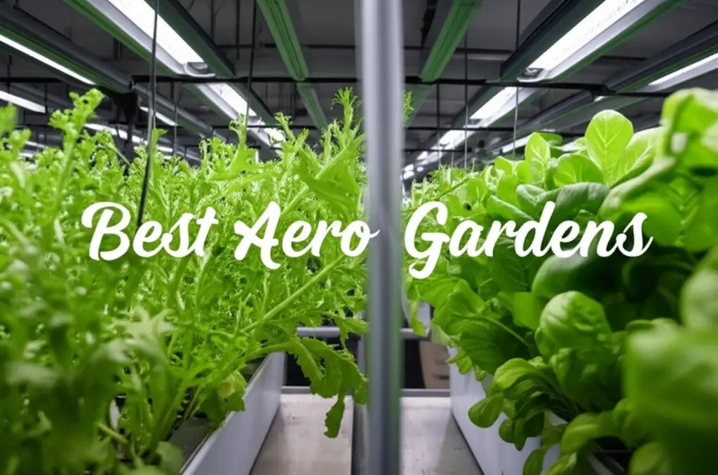 8 Best Aero Gardens and Accessories for 2026