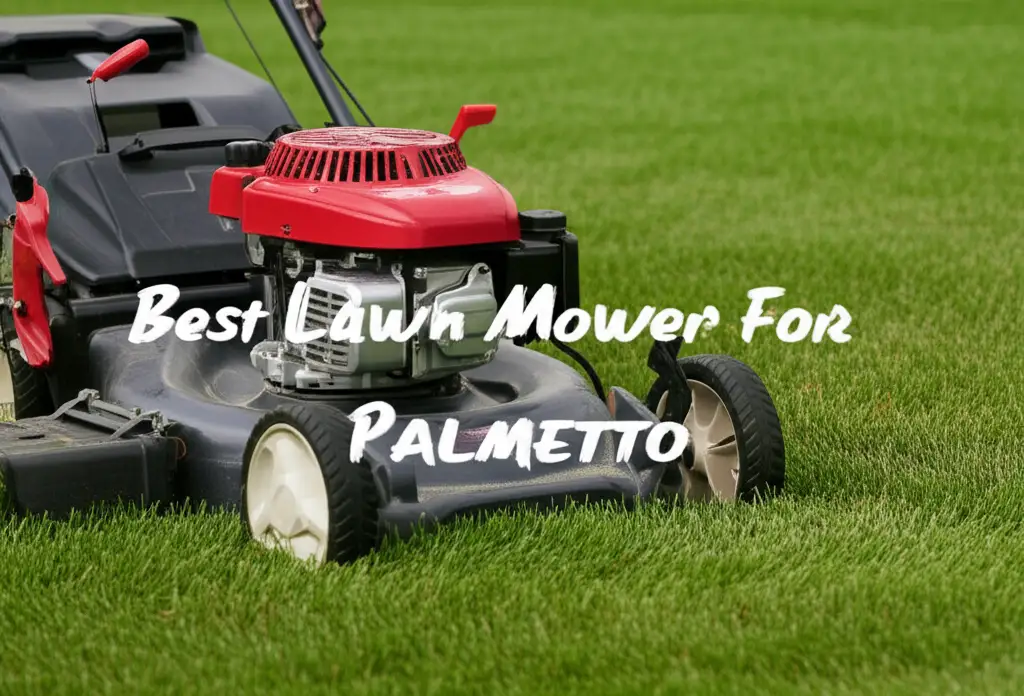 8 Best Lawn Mower For Palmetto 2026 Buying Guide