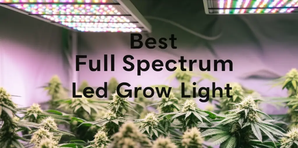 Are you struggling to keep indoor plants thriving without natural sun? We tested top models to find you the best full spectrum led grow light today.