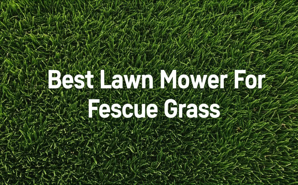 9 Best Lawn Mower For Fescue Grass and Maintenance 2026