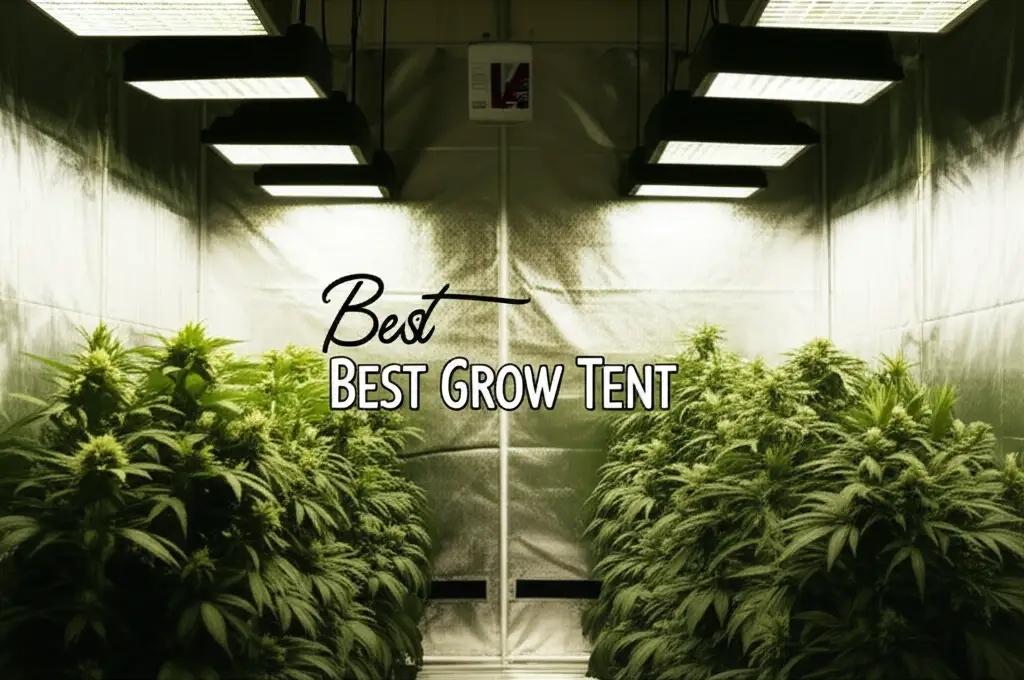 Best Grow Tent