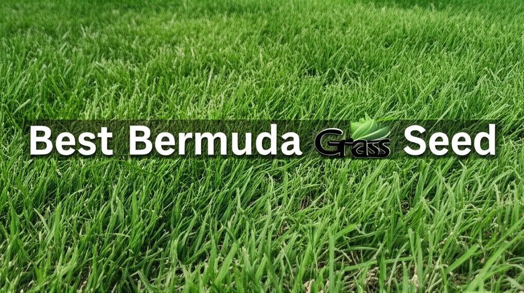 10 Best Bermuda Grass Seed for 2026 Landscapes