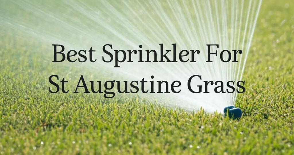 Best Sprinkler For St Augustine Grass