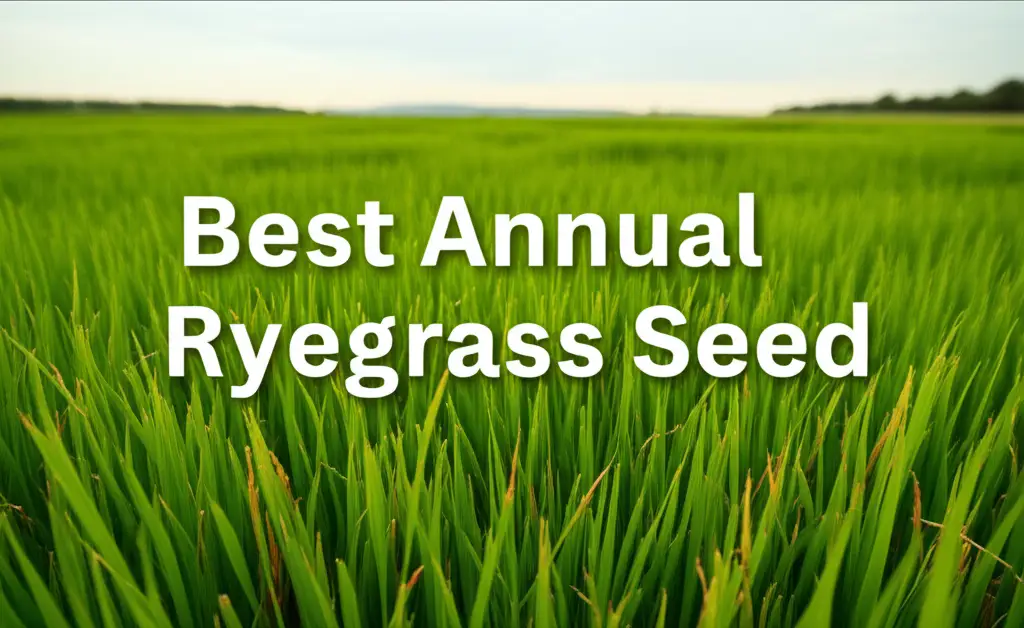 10 Best Annual Ryegrass Seed Options for 2026