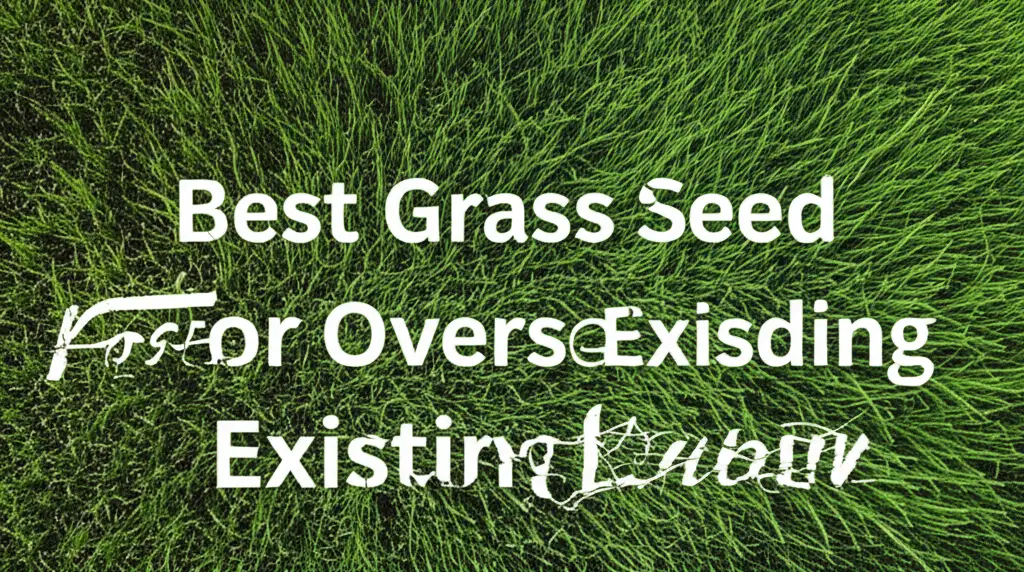 10 Best Grass Seed For Overseeding Existing Lawn 2026
