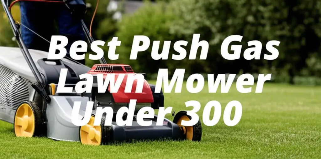 10 Best Push Gas Lawn Mower Under 300 for 2025