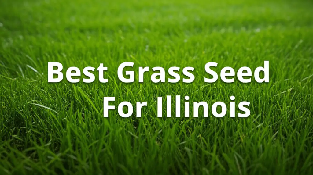 10 Best Grass Seed For Illinois 2026 Guide