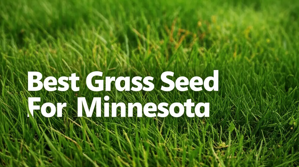 9 Best Grass Seed For Minnesota 2026 Expert Reviews