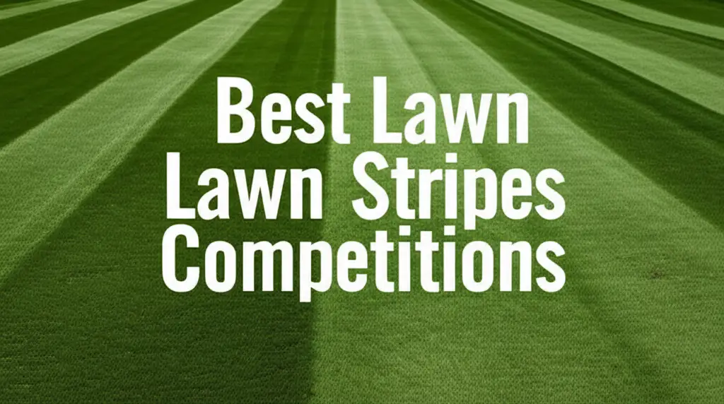 6 Best Lawn Stripes Competitions for Your Yard in 2026