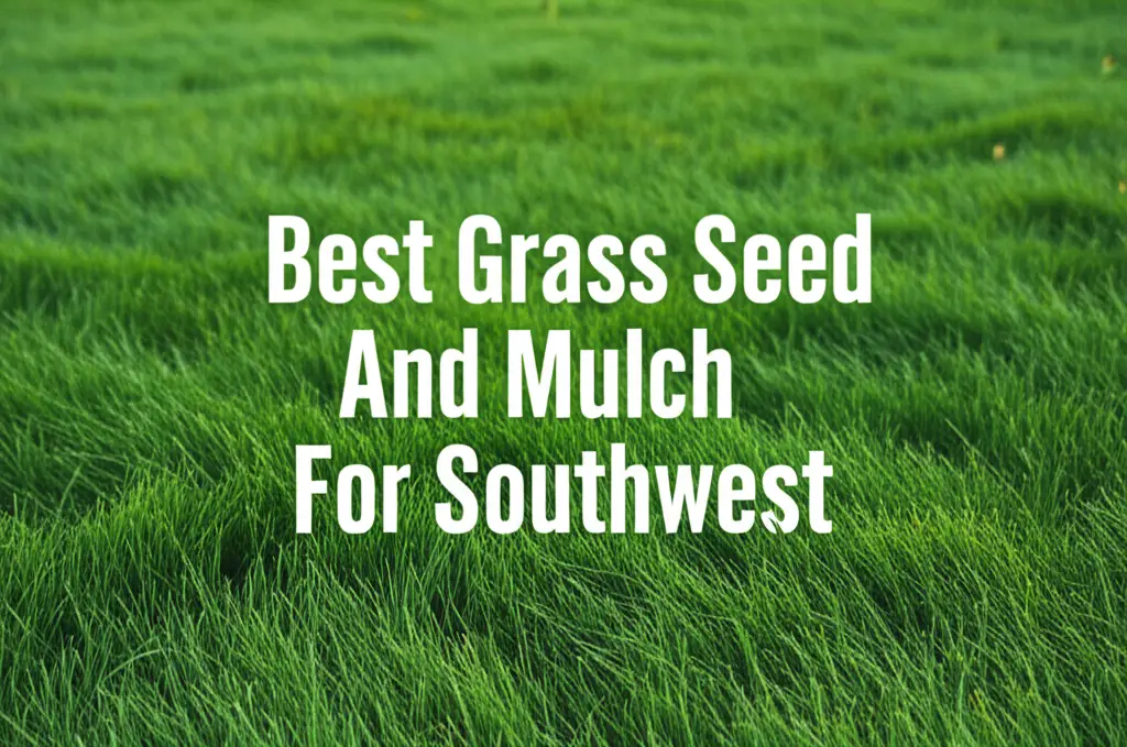 7 Best Grass Seed And Mulch For Southwest 2026