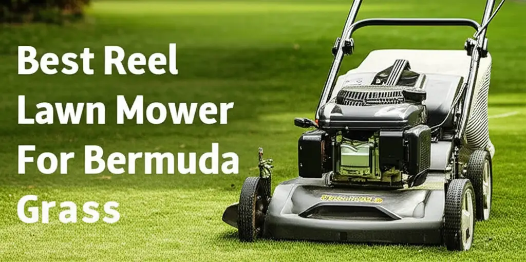 7 Best Reel Lawn Mower For Bermuda Grass 2026 Guide