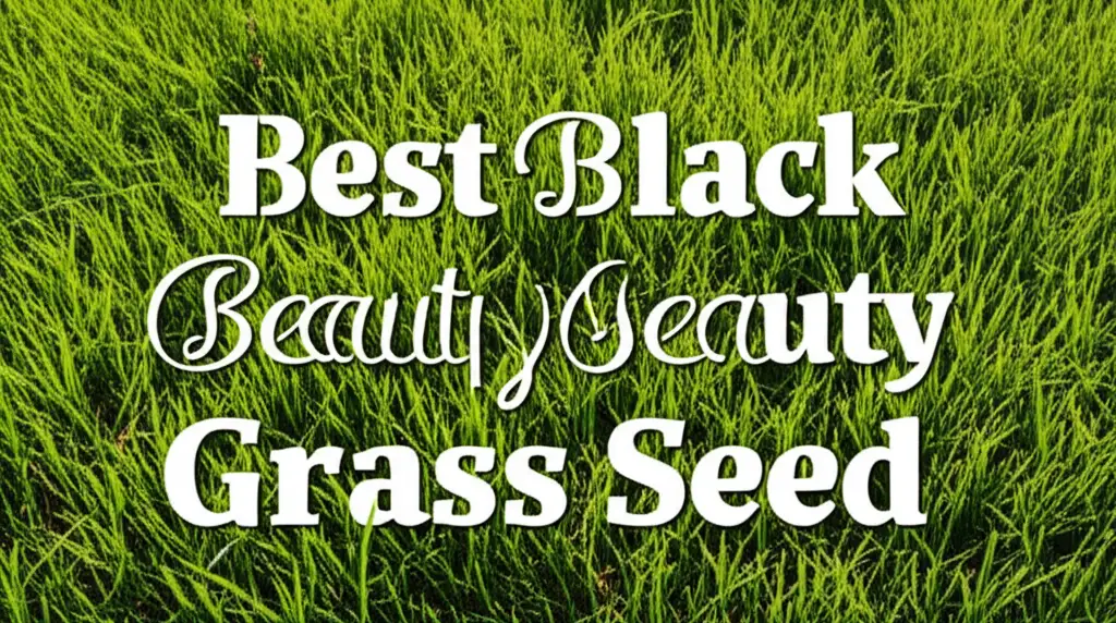 10 Best Black Beauty Grass Seed for 2026 Review