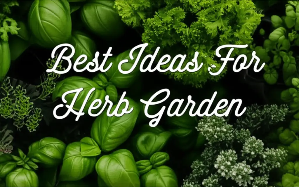 10 Best Ideas For Herb Garden to Grow Fresh Herbs in 2026