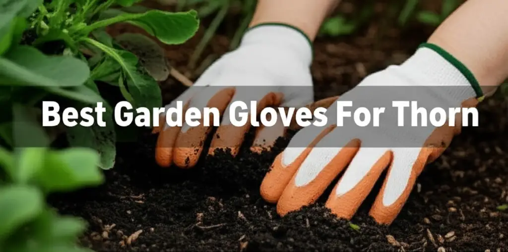 9 Best Garden Gloves For Thorn in 2026 Expert Reviews