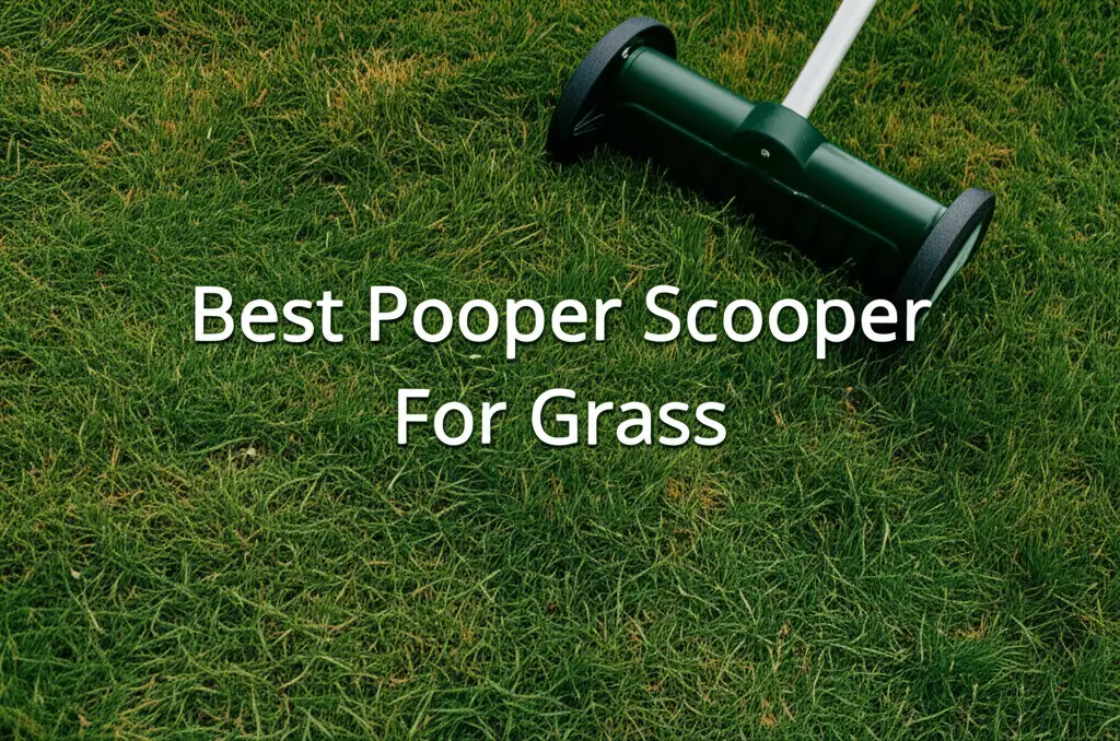 10 Best Pooper Scooper For Grass 2026
