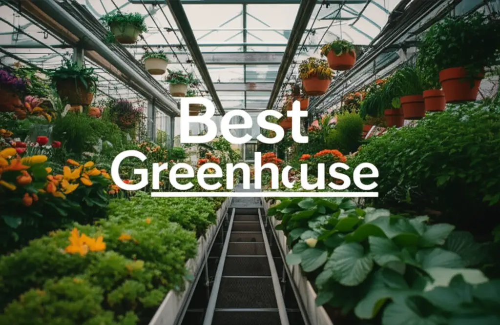 10 Best Greenhouse Options for Year Round Gardening 2026