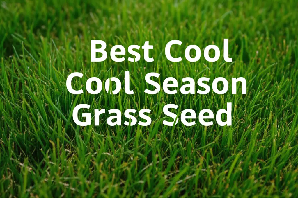 Does your yard look thin and brown? We reviewed the best cool season grass seed to ensure you get a vibrant lawn that lasts through the year.