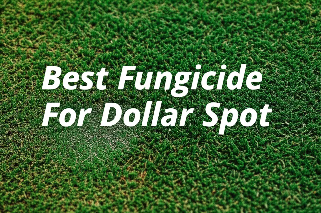 9 Top Rated Fungicides For Dollar Spot in 2026