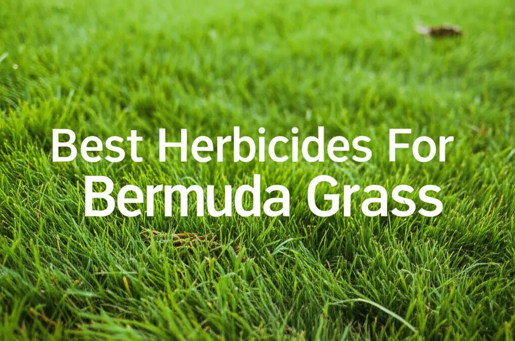 7 Best Herbicides For Bermuda Grass 2026 Review